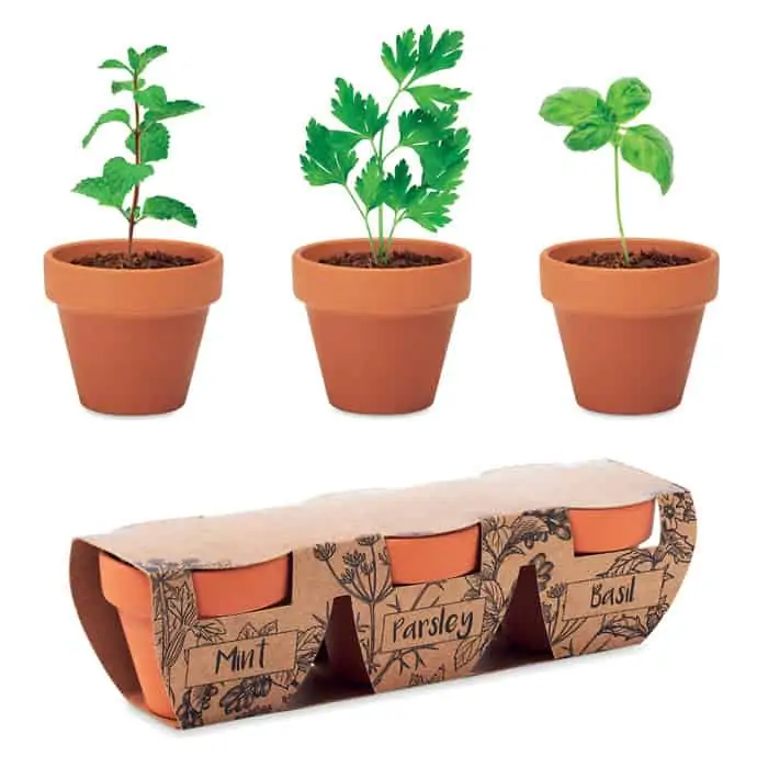Set of 3 Plant Pots