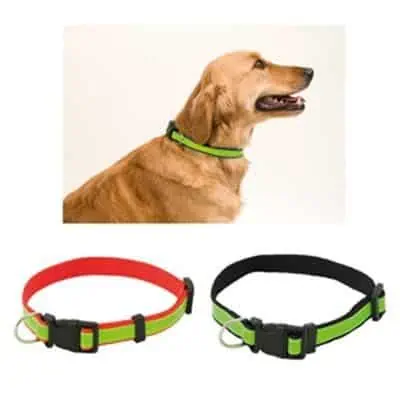 Pet Collar