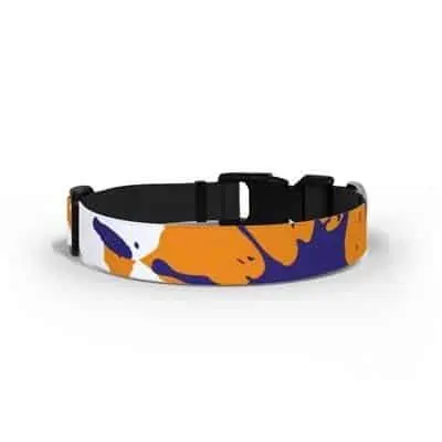 Medium Pet Collar