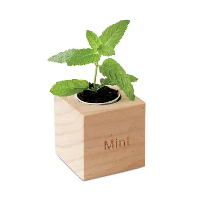 Herb Pot