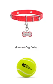 Dog And Ball Merchandise